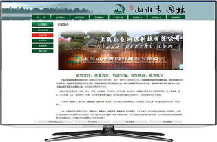 奉贤企业数字化转型全攻略 从网站建设到通讯服务一站式解决方案