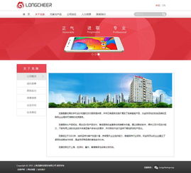 龙旗集团 立足上海，辐射全球的科技先锋