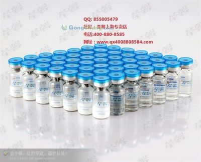 河源市委老干部局 传承红色基因，服务银发群体的重要力量